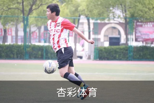 杏彩体育公司介绍